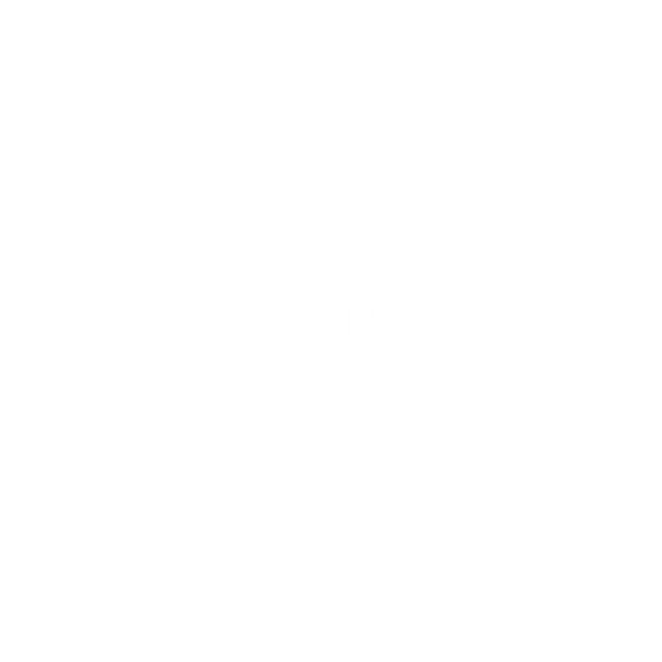 VibeNest